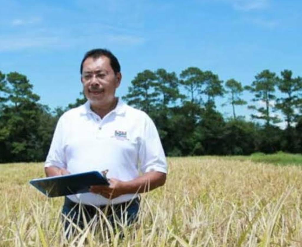 Ilmuwan Indonesia asal Malang, Prof. Herry Utomo, Ciptakan Terobosan Pangan Dunia: Padi Tinggi Protein Pertama