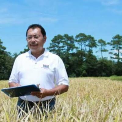 Ilmuwan Indonesia asal Malang, Prof. Herry Utomo, Ciptakan Terobosan Pangan Dunia: Padi Tinggi Protein Pertama